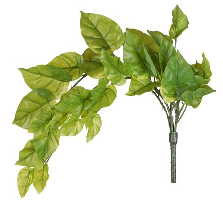 24 inches Green Pothos Bush Vine 2/Pk