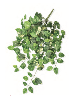 33" Hanging Pothos Bush 147 Leaves Fire Retardant Foliage