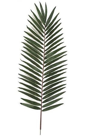 Giant Palm Branch - 28 inches Width - Green - FIRE RETARDANT