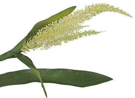 7.5 FOOT IFR CORN PLANT WITH LEAVES Fire Retardant material