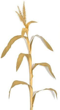 7.5 Foot Fire Retardant Fall Corn Leaf Plant