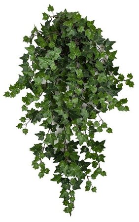 29 Inches Or 42 Inches | Firesafe Curly Ivy Bushes