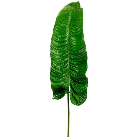 60 inches Elephant Ear Leaf Spray  Green