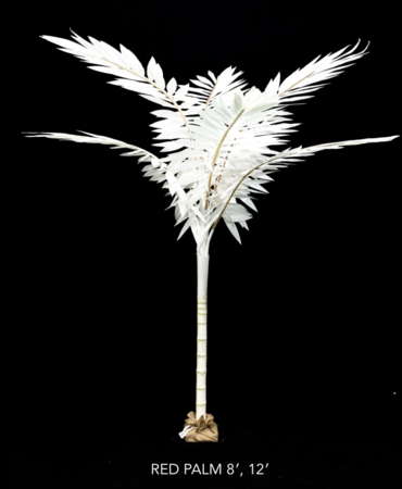 8 feet Canvas Red Palm Comes Painted or Natural