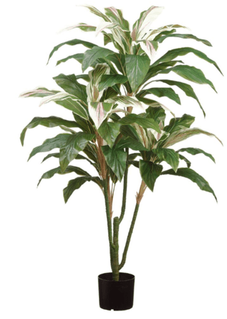 55" Real Touch Cordyline Plant in Plastic Pot Green Cream