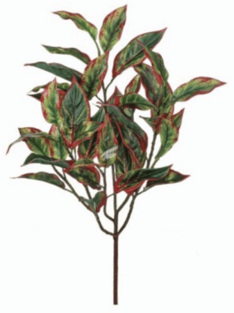 GREEN/RED
