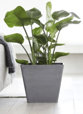 15.7" X 15.7" 13" H Square Planter Grey