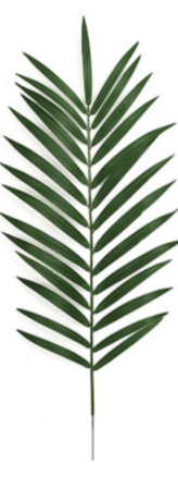 48 inches FIRESAFE COCONUT PALM BRANCHES