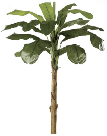 P-0770  Artificial  Banana Palm 6 feet  9 feet 12 feet 15 feet Heights