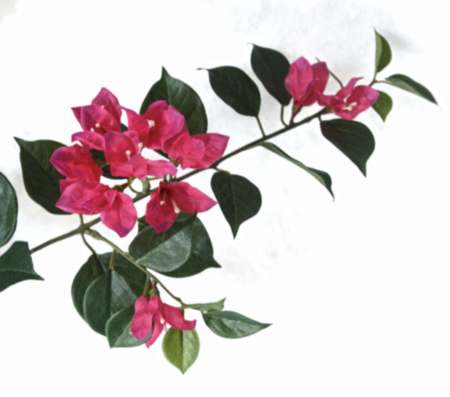 32.5" Fuchsia Bougainvillea Branch ** Sold Per Piece