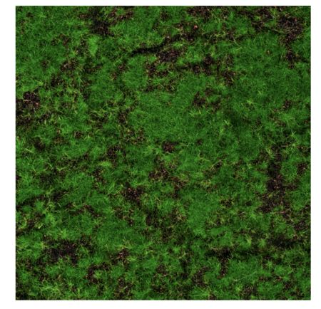 48"x16" Artificial Retangular Moss Mat