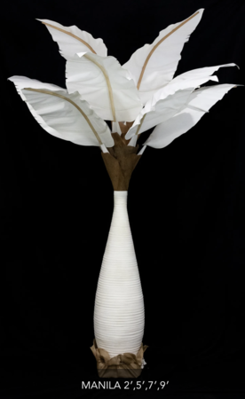 9 feet Manila Palm Natural Color