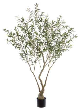 7 Foot Olive Leaf Tree in Plastic Pot (knock-Down Packing) Green