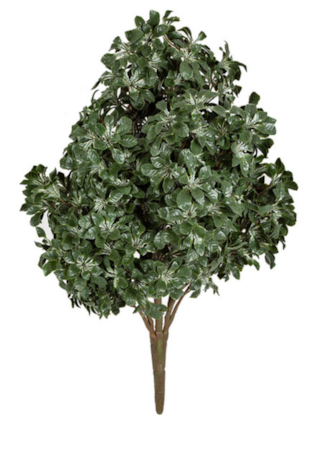49 inches Outdoor UV Mahonia Bush - Cream/Green