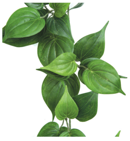 6 FOOT FIRESAFE PHILODENDRON GARLAND