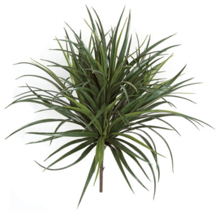 28 inches Outdoor Polyblend Liriope - Tutone Green