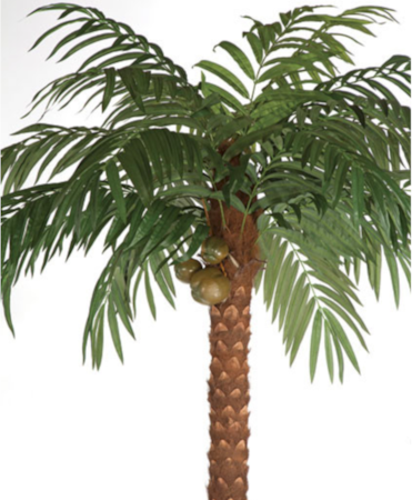12 feet Artificial Coconut Palm - Natural Trunk - 15 Fronds - 3 Coconuts - Bare Trunk