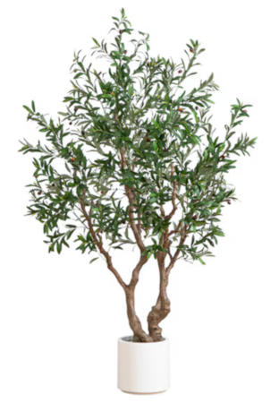 6’ Artificial Grand Olive Tree In White Decorative Planter