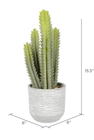15.5" Artificial Green Cactus in Concrete Pot