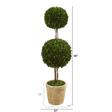 4' Preserved Boxwood Double Ball Topiary Tree in Planter