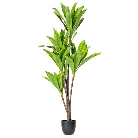 60" Real Touch Dracaena x 5 w/68 lvs in