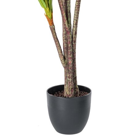 60" Real Touch Dracaena x 5 w/68 lvs in