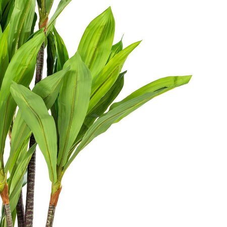 60" Real Touch Dracaena x 5 w/68 lvs in