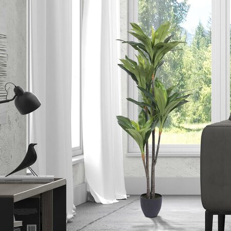 60" Real Touch Dracaena x 5 w/68 lvs in