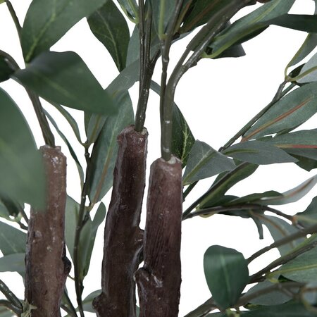 30"  Olive Tree in Pot