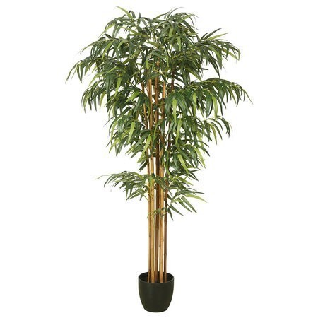 6 feet Bamboo Tree w/pot-Green