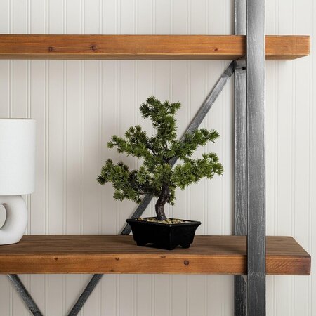 12" Potted Pine Bonsai Tree