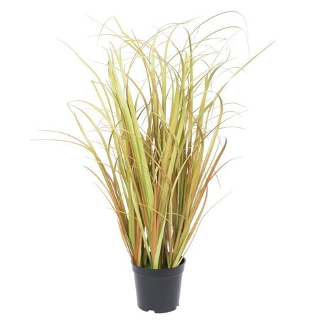 24 inches Mixed Brown Grass in Pot