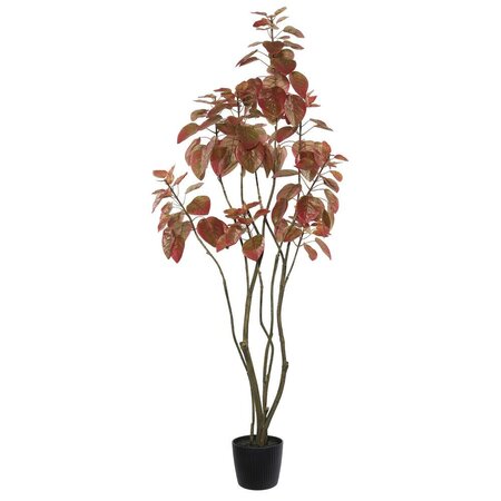 4' Rogot Rurple Tree w/pot-Red