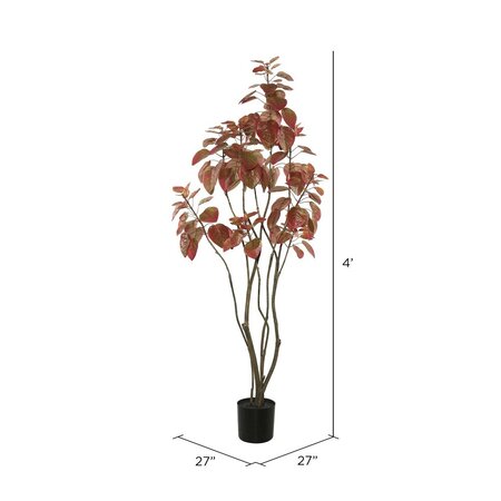 4' Rogot Rurple Tree w/pot-Red