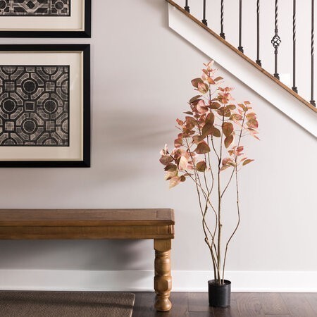 4' Rogot Rurple Tree w/pot-Red