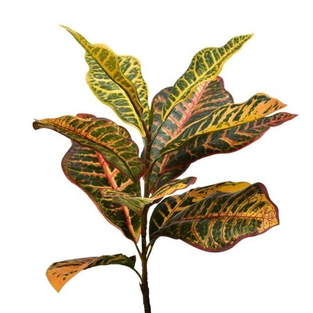 7'Potted Croton Tree W/192 Lvs-Green/Or