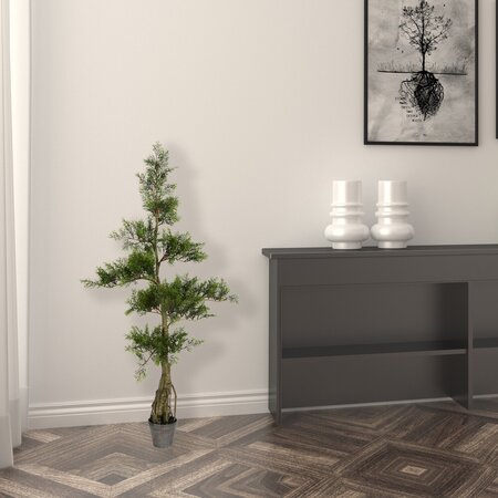 4' Potted Cedar Tree 208Lvs