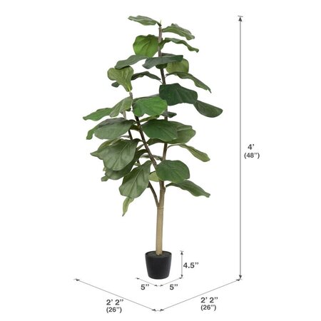 4' Potted Fiddle Tree 39Lvs