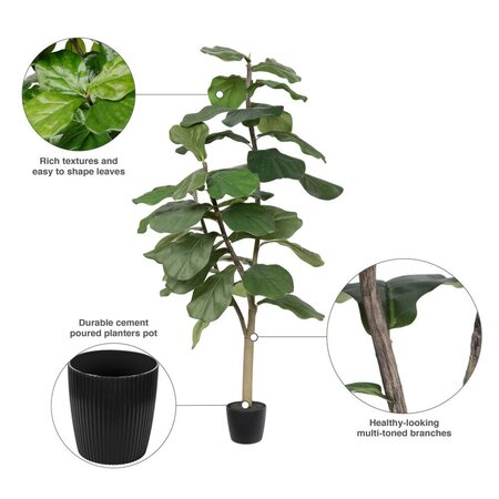 4' Potted Fiddle Tree 39Lvs