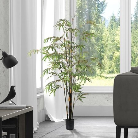5' Potted Black Japanese Bamboo Tree