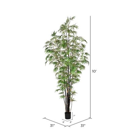 10' Potted Black Japanese Bamboo Tree