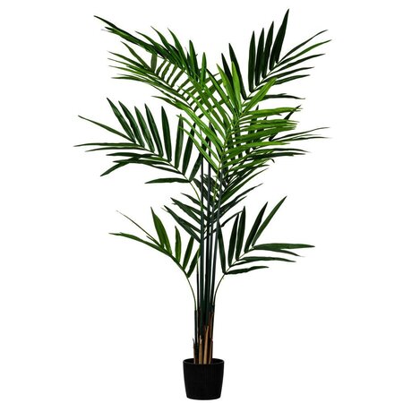 7' Potted Kentia Palm 150 Leaves