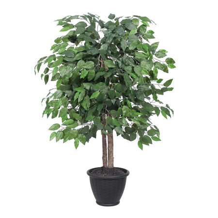 4' Ficus Bush in Gray Plastic Pot
