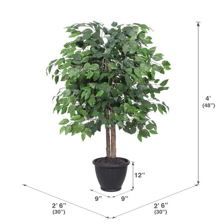4' Ficus Bush in Gray Plastic Pot