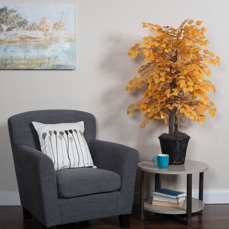 4' Fall Golden Aspen Bush