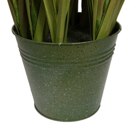 48" Brown Cattail Grass in Iron Pot