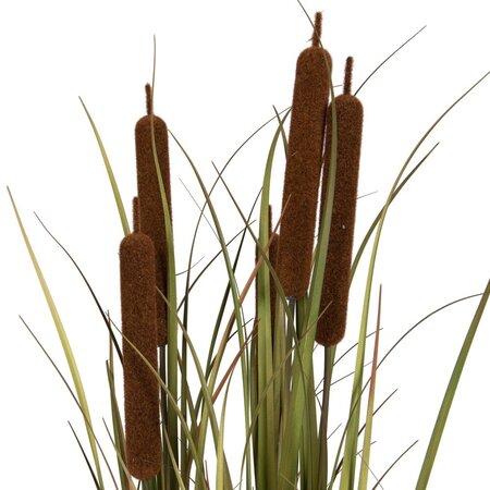 48" Brown Cattail Grass in Iron Pot
