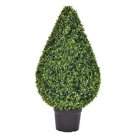 36 inches Boxwood Teardrop Shaped In Pot (UV)