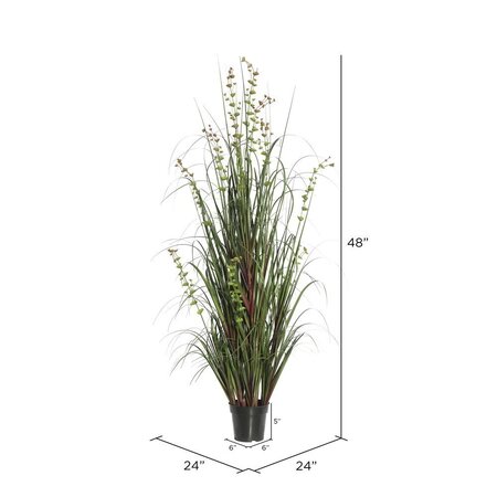 48" Eucalyptus Grass Potted