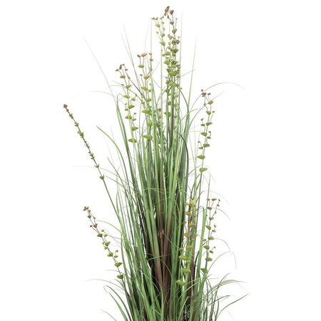 60" Eucalyptus Grass Potted